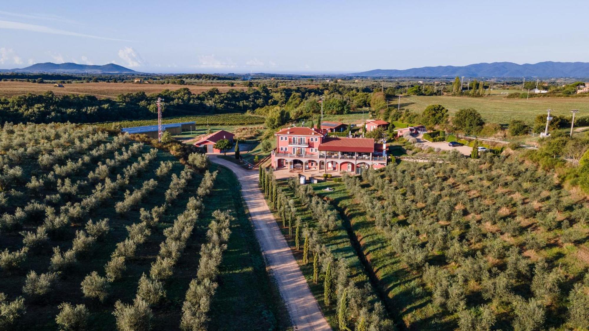 Il Podere Di Marfisa Farnese Bagian luar foto